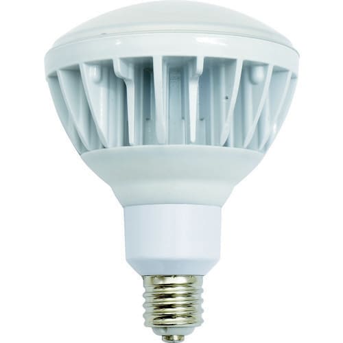 LED交換球ハイスペックエコビック40WE39