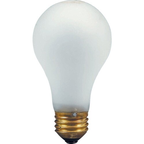 耐振震電球100V100W