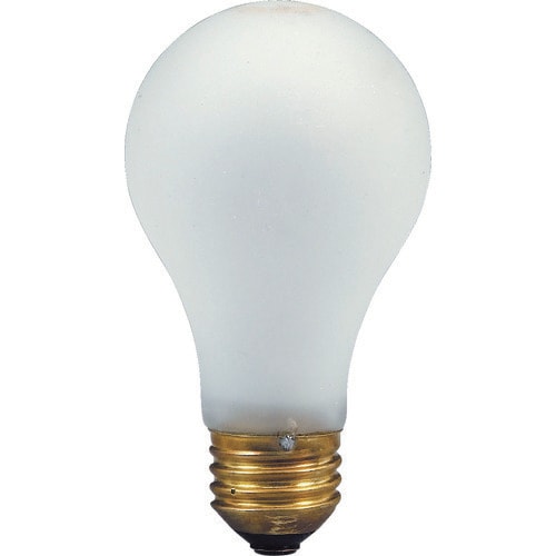 防滴電球60W(CWS型用)