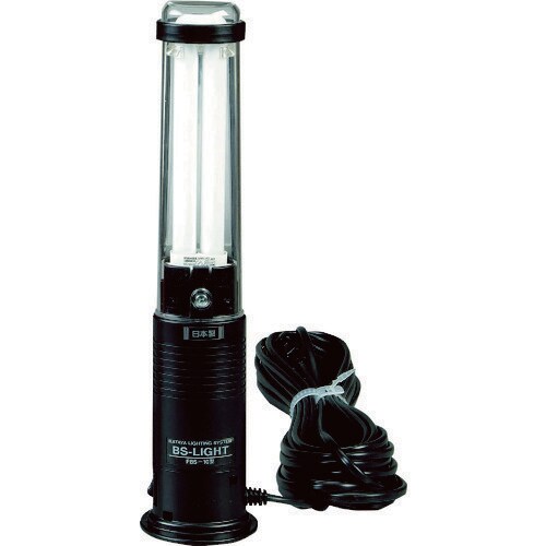 ビィーエスライト FBS10