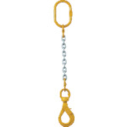 チェーンスリング100 1MFFBKE6.3