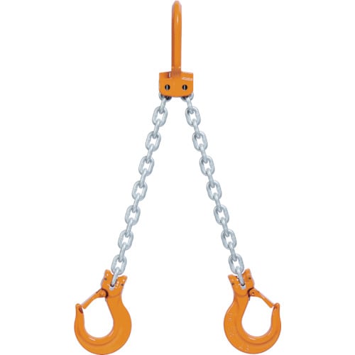 チェーンスリング100(ピンタイプ) 2WH6.3