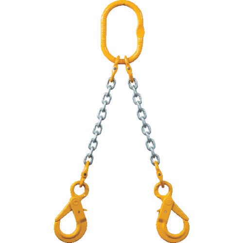 チェーンスリング100 2MFFSHE6.3