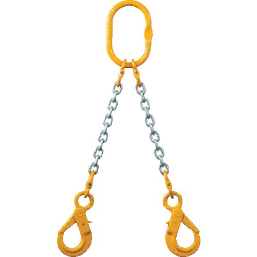 チェーンスリング100 2MFFSHE10