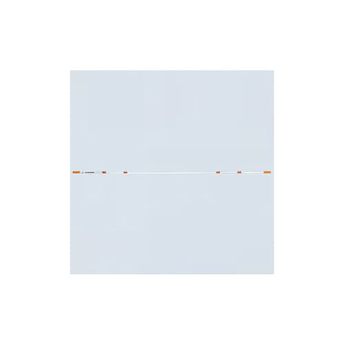 クロスバー 4.5m 検定