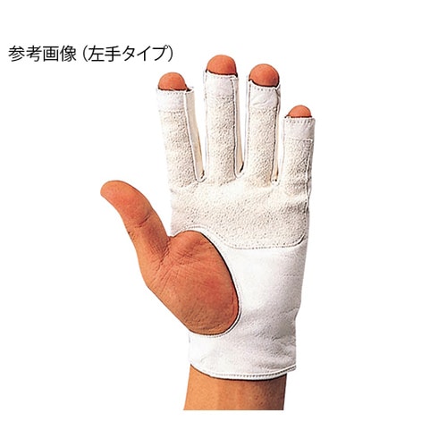 Dー215MI 手袋 右手 L、LL