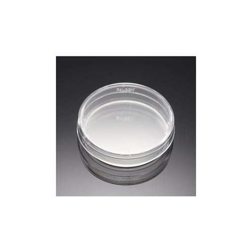 プライマリア 60X15mm ディッシュ