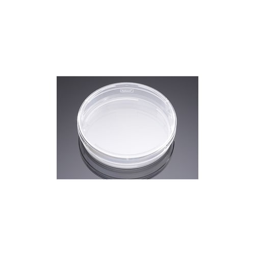 プライマリア 100X20mm ディッシュ