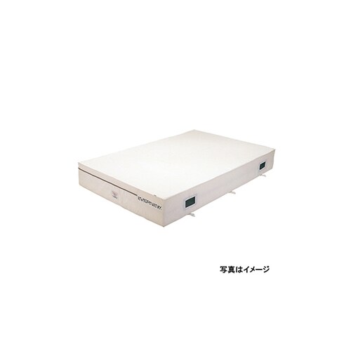 EGD222 抗菌屋内エバーマット