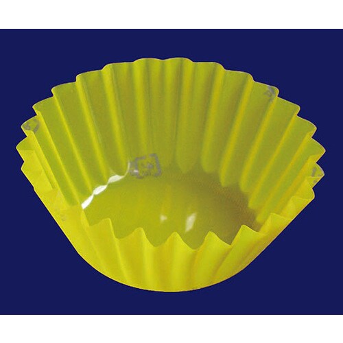 フジフィルムケース6F イエロー 421000