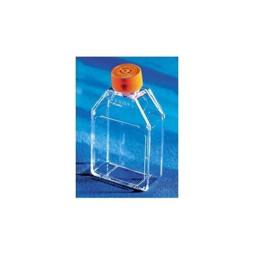 431463 フラスコ無処理 25cm