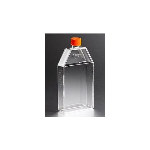 431465 フラスコ無処理 150cm