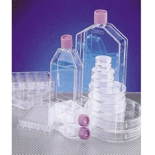 4103ー010 フラスコ 25cm2