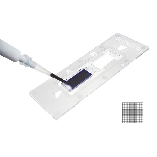 ディスポーザブル血球計算盤 C−Chip B−10