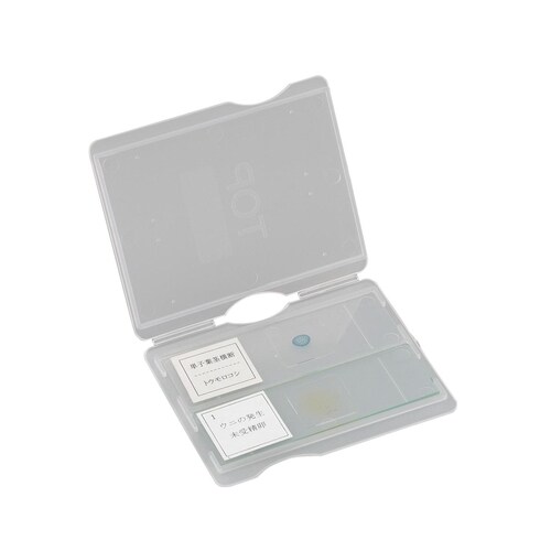 スライドメイラー(郵送用スライド)2枚用 1個×2