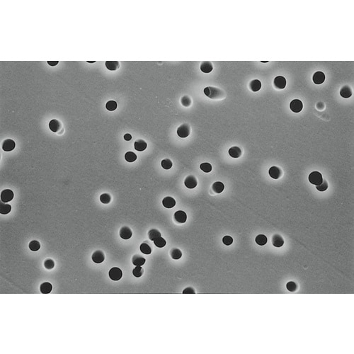 メンブレンフィルタ K040A025A