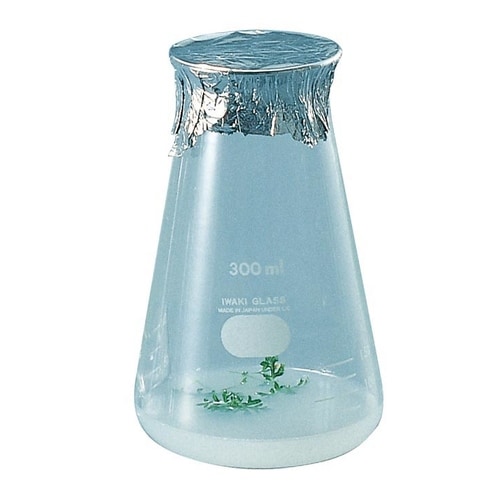 培養フラスコ (IWAKI) 300mL 広口