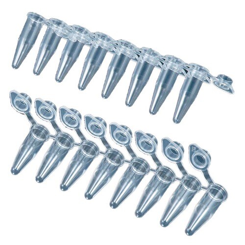 PCRチューブ 3245−00 (フラット型)