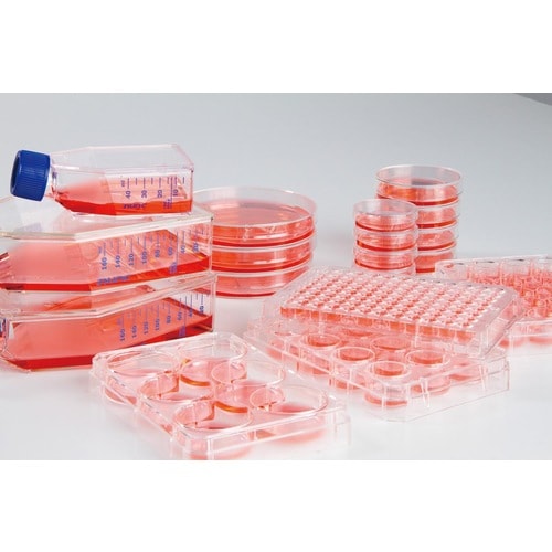 NunclonSphera 174925