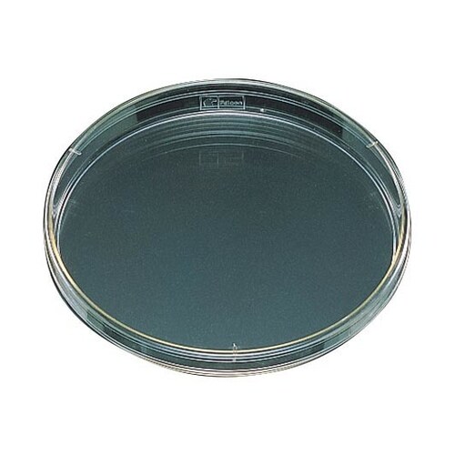 ファルコンペトリディッシュ 1058