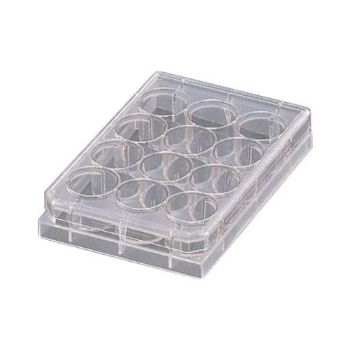 ファルコンセルカルチャープレート 3043