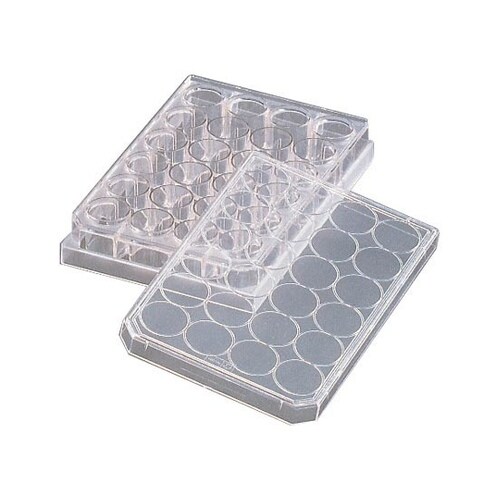 ファルコンセルカルチャープレート 3047