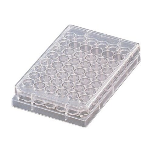 ファルコンセルカルチャープレート 3078