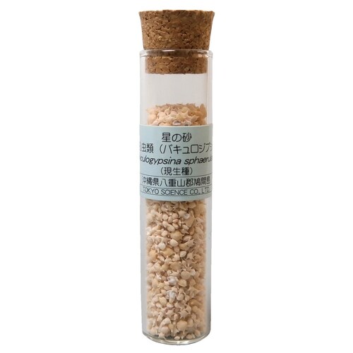 ケニス 星の砂 (2本セット) EX001