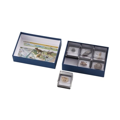 ケニス 示準化石標本 6種組