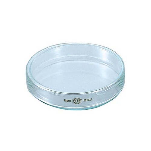 シャーレ(ペトリ皿) 150 146φ×28mm