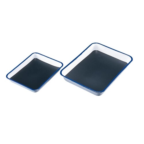 解剖ざら HE (大・小セット) ゴム板付