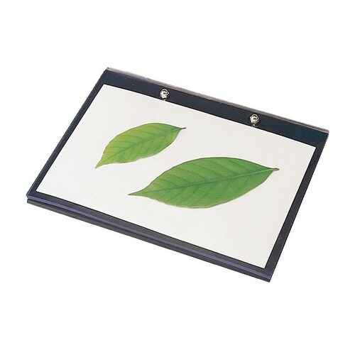 たたき染めセット TS−1 (木づち無)