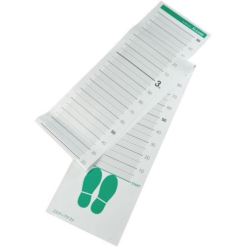 2ステップテストシート