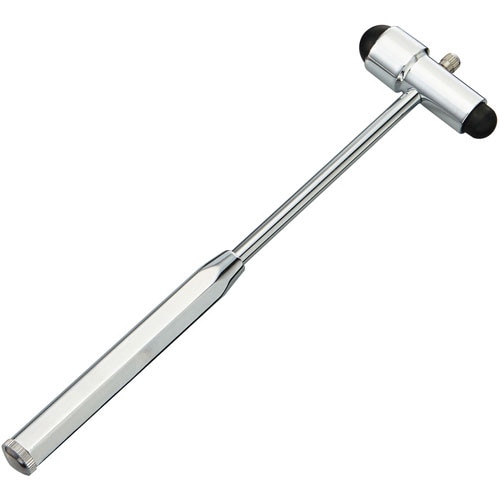 打腱器(バックハンマー氏)