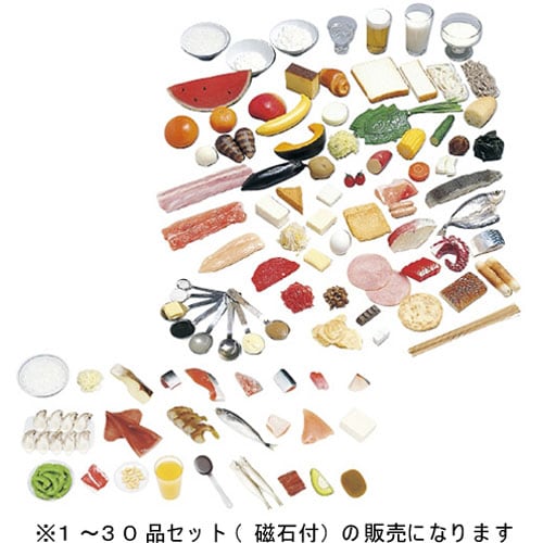 糖尿病指導キット 1から30品セット(磁石付)