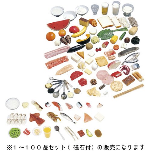 糖尿病指導キット 1から100品セット(磁石付)