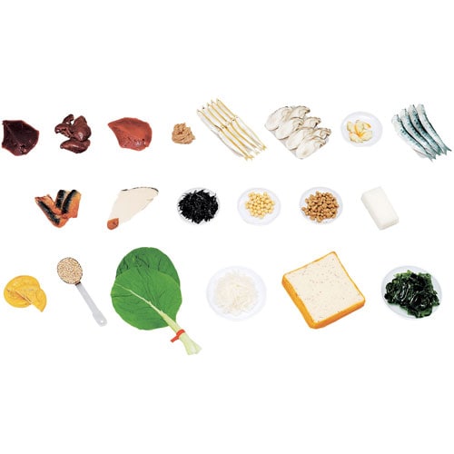 鉄分を多く含む食品モデル 20品セット(磁石付)