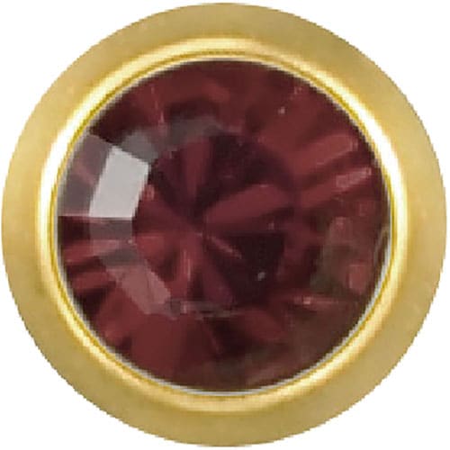 メディシステム医療用ピアス 1月ガーネット