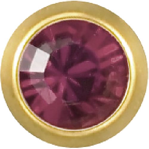 メディシステム医療用ピアス 2月アメジスト