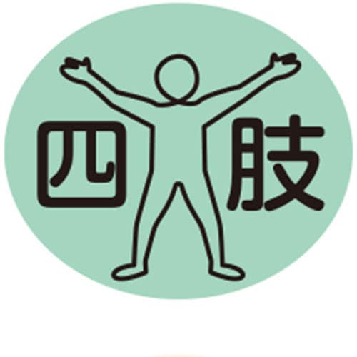 部位ラベル 《種類》四肢(D−2)