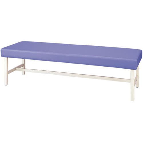 ベーシック診察台 BC−ET6555 パープル