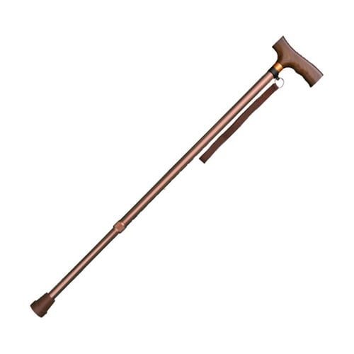 伸縮ステッキ ベーシック 22mm ライトブラウン