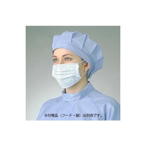 ヘパーマスク10コ PA2101−F ホ