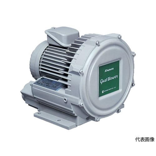 U2V70S 電動送風機 渦流式高圧