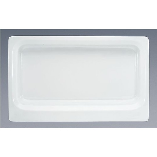 NSN0201 GNディッシュ 1/1