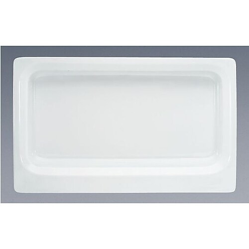 NSN0202 GNディッシュ 1/1