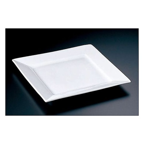 RGL8901 スクエアプレート M