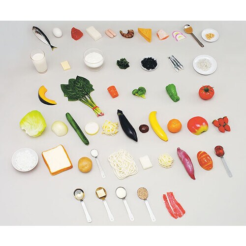 52 フードモデル基礎食品群モデル50種