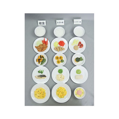 59 フードモデル 介護食(段階別)