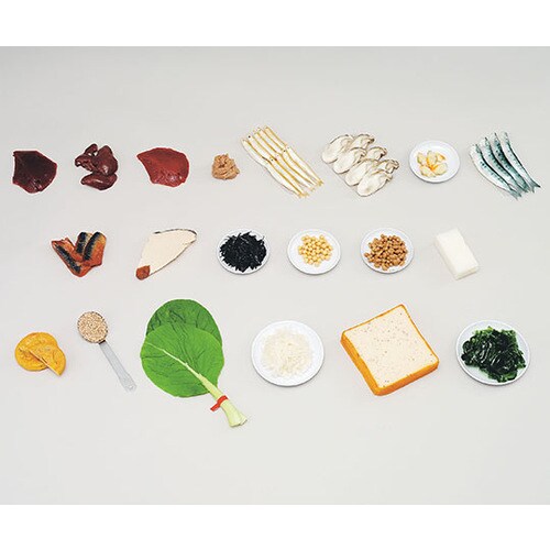 70 フードモデル 鉄分を多く含む食品